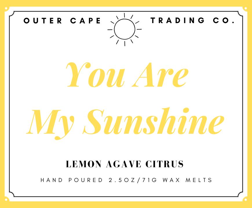 You Are My Sunshine Soy Wax Melts, 2.5oz Wax Tarts Lemon Agave Citrus